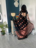 Black Bronzy saree