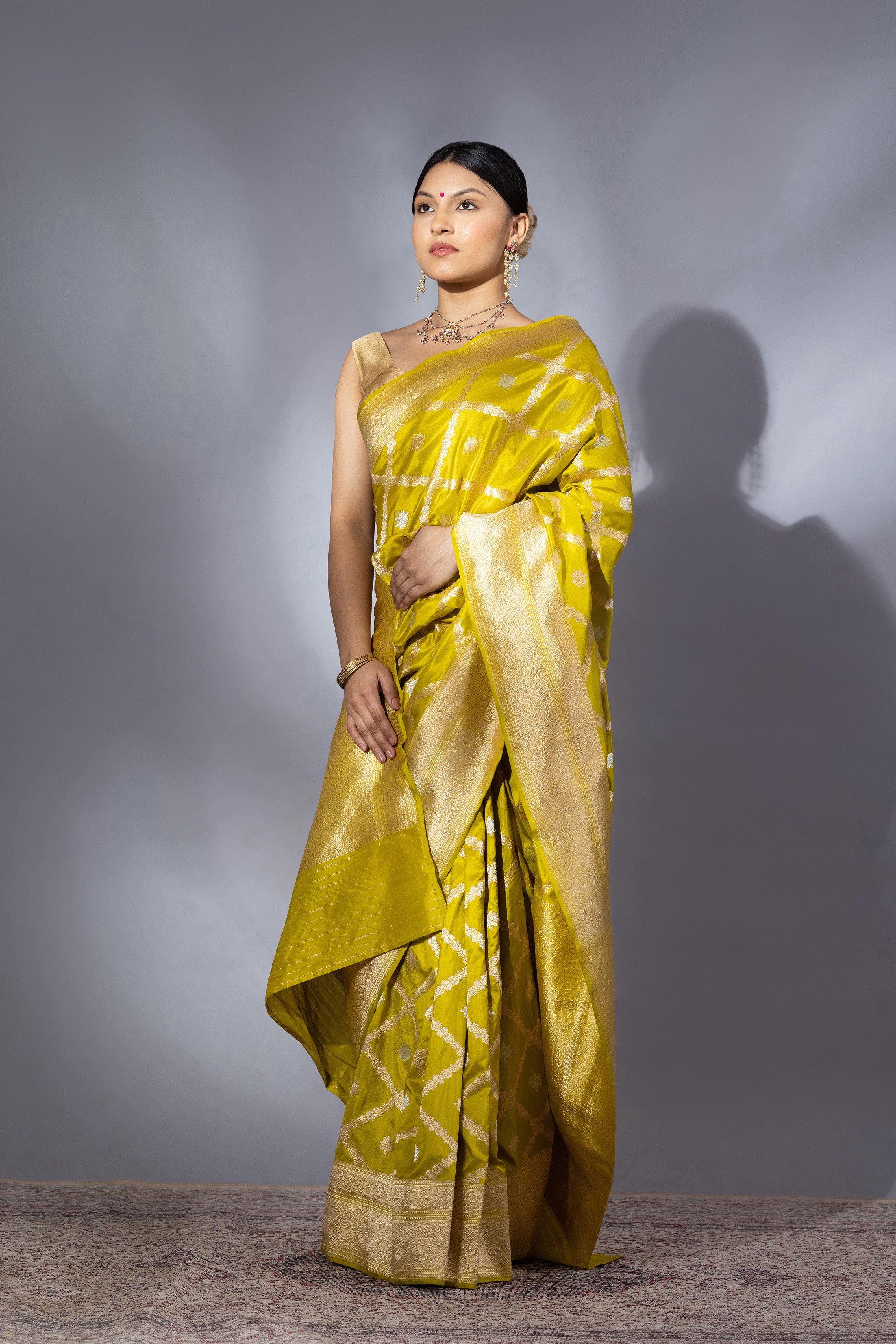 Dhaani Heer saree