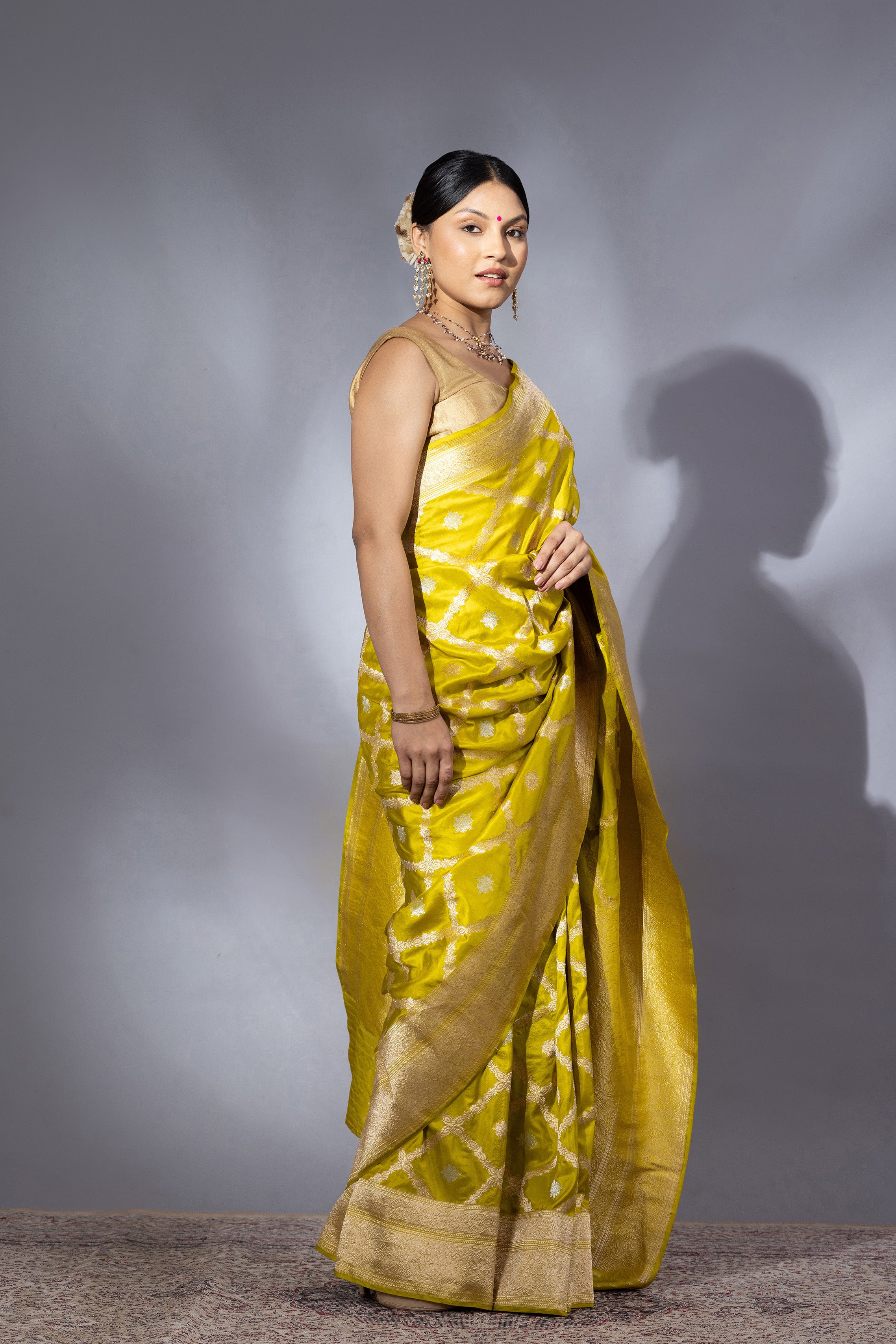 Dhaani Heer saree