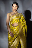 Dhaani Heer saree