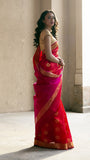 Payal Saree