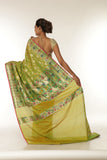 Dhaani Saree